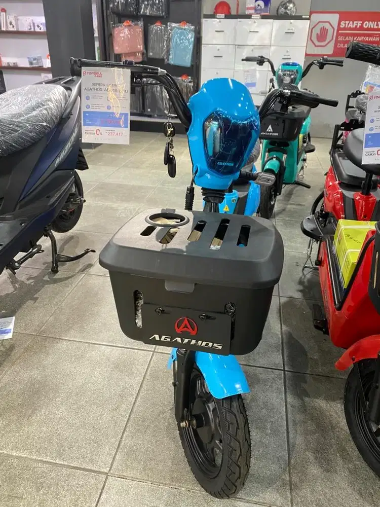 Ready Sepeda Listrik Agathos AE-310 (New)