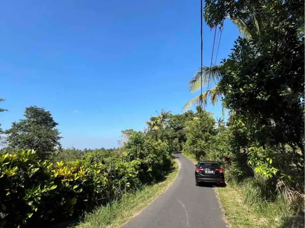 jual tanah bengkel sari selemadeg tabanan