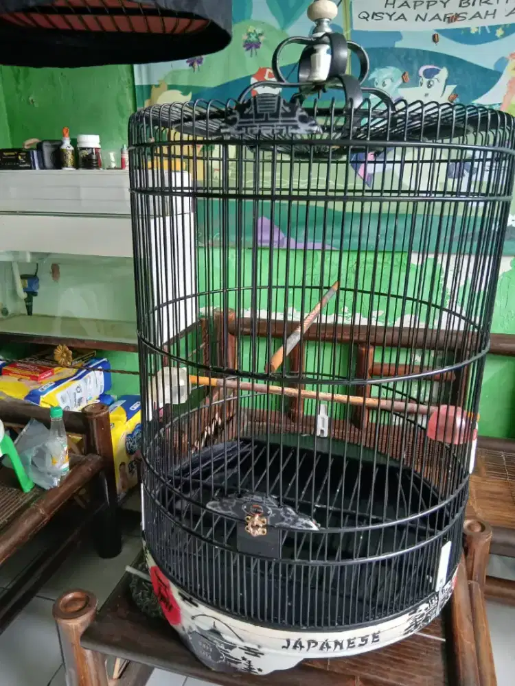Sangkar murai no. 2