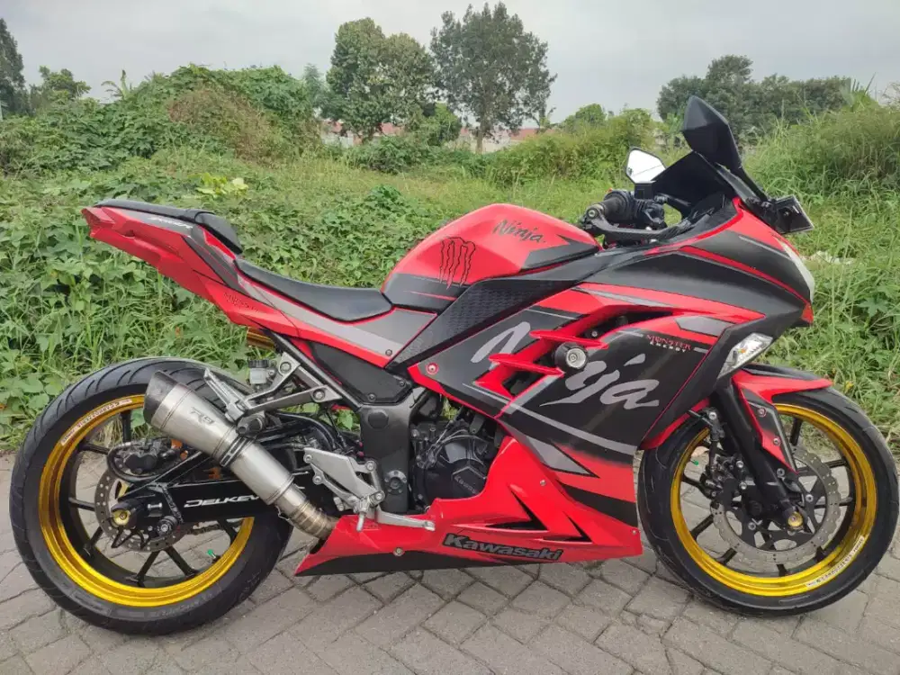Kawasaki ninja 250R FI 2014