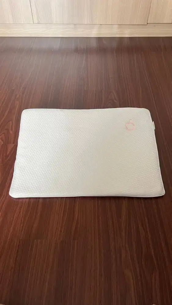 Dooglee Wedge Pillow Pink (Free 1 Cover)