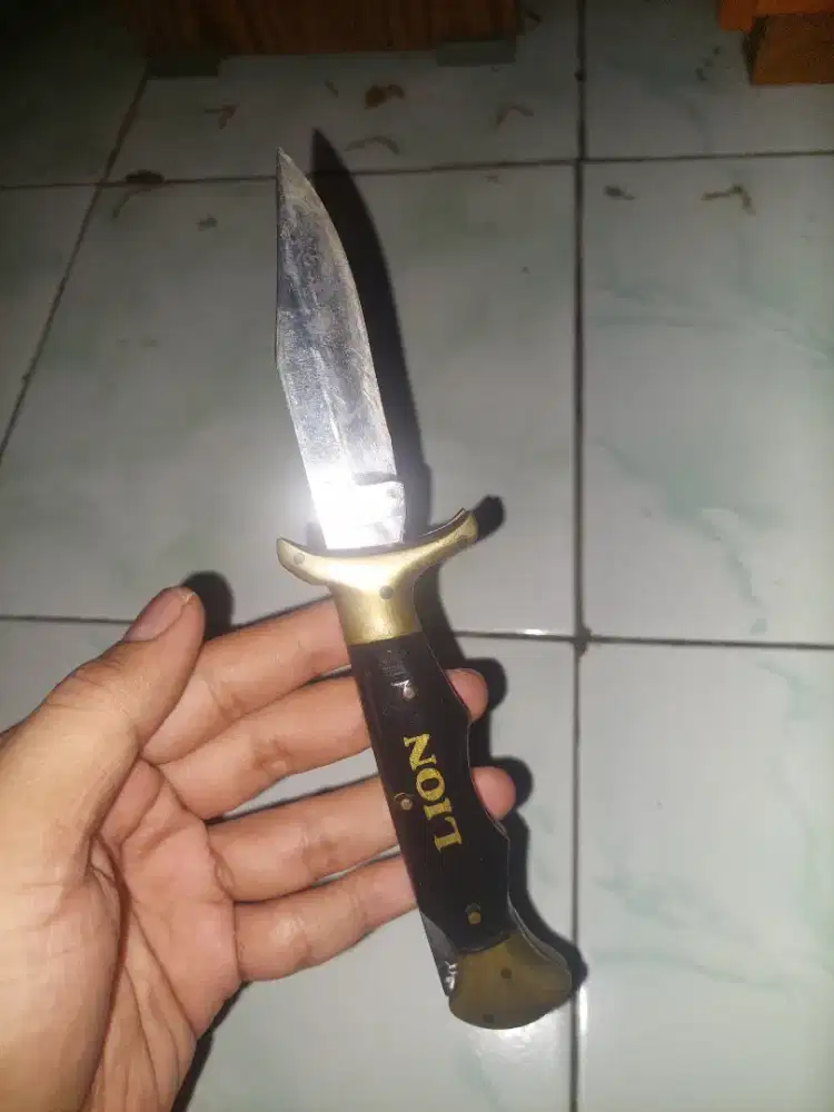 Lion dagger pakistan