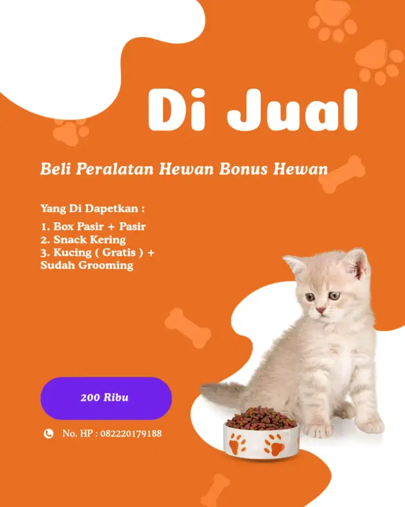 Paket Bundling Adopsi Kucing