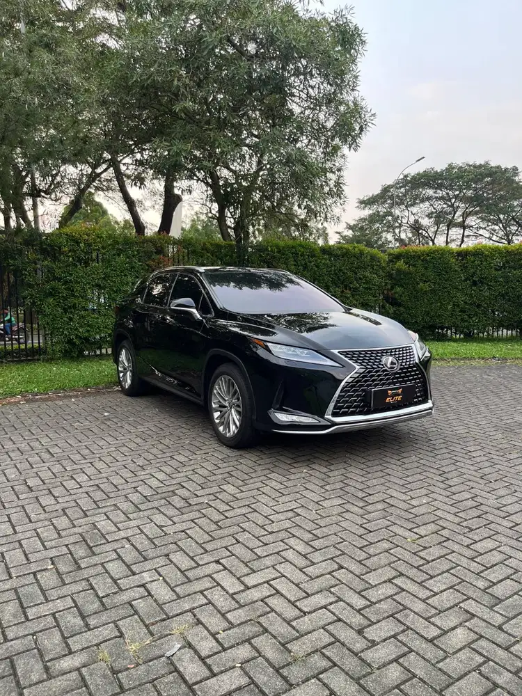 Lexus RX 300 Luxury 2020