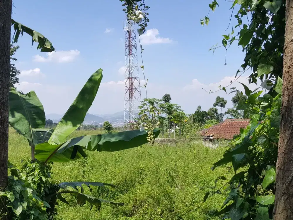 Dijual Cepat Tanah Murah Owner Butuh Uang Mainroad dekat Stasiun KCIC Bandung Barat