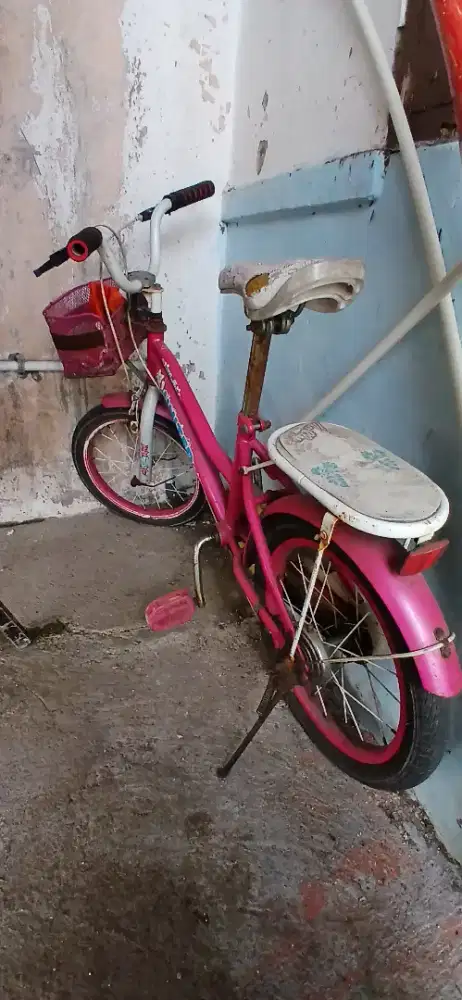 Sepeda United Pink apa adanya