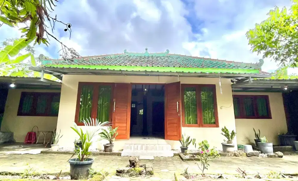 Di Kontrakkan HMS House