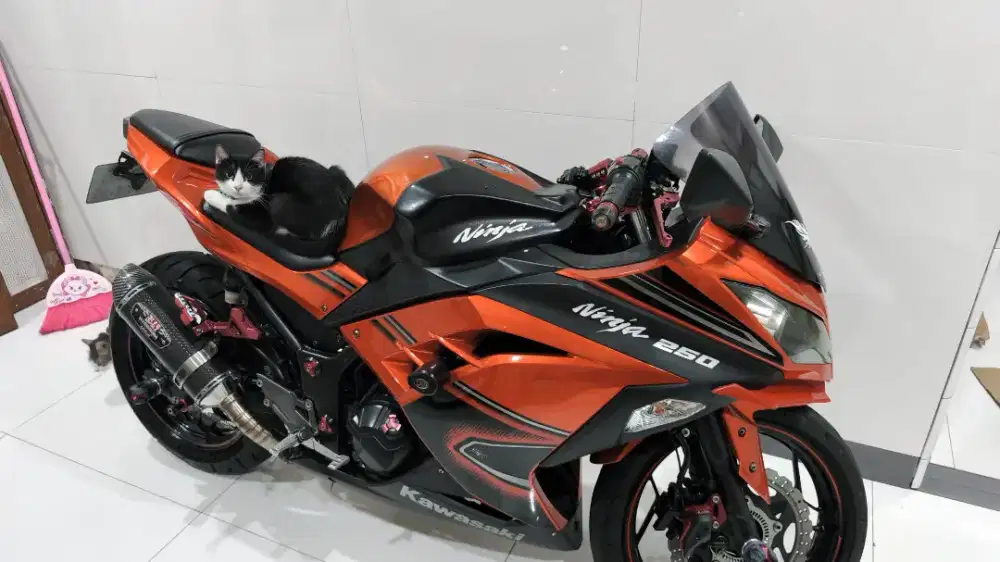 NINJA 250 FI SE ABS 2014 PAJAK HIDUP