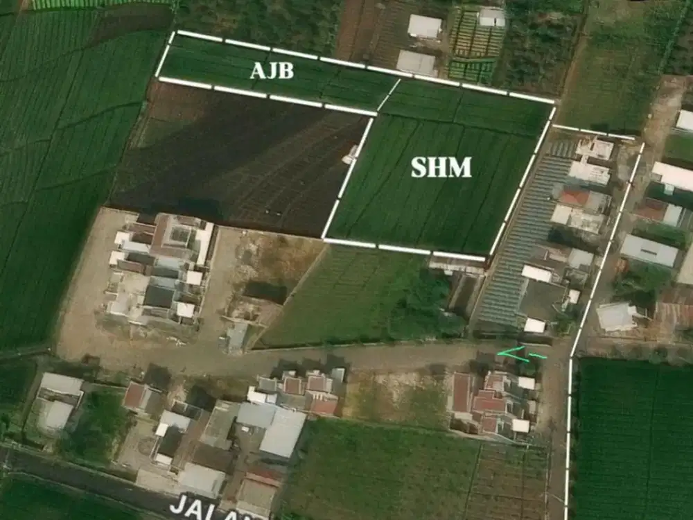 Tanah Sawah Lahan Kuning Mojo Rejo Land