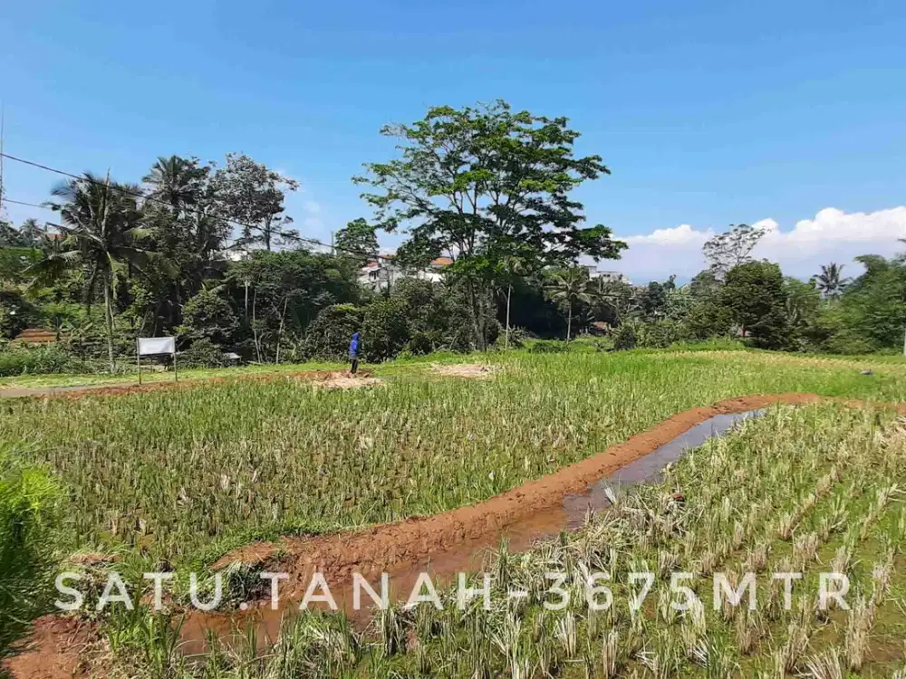 Dijual tanah sawah kebun luas pinggir jalan dekat kota strategis
