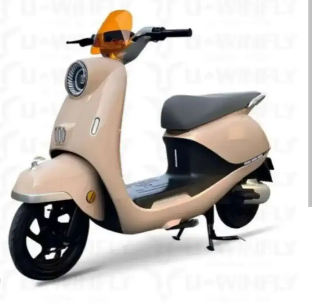 Dijual Motor Listrik Winfly T65