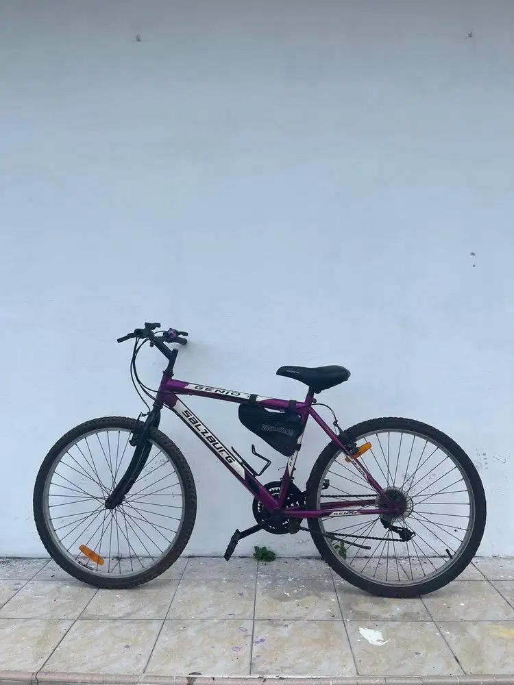 SEPEDA MERK GENIO ZALBURG WARNA UNGU