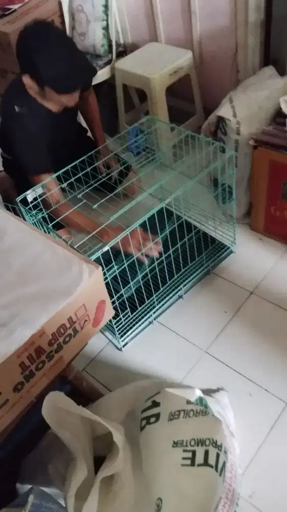 Kandang kucing bekas