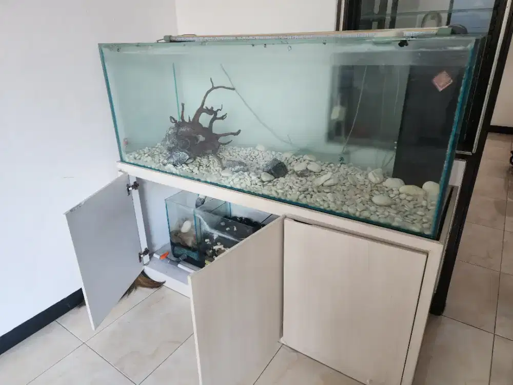 Aquarium bekas Terawat, Tinggi 1.8 M tebal kaca 12 mm