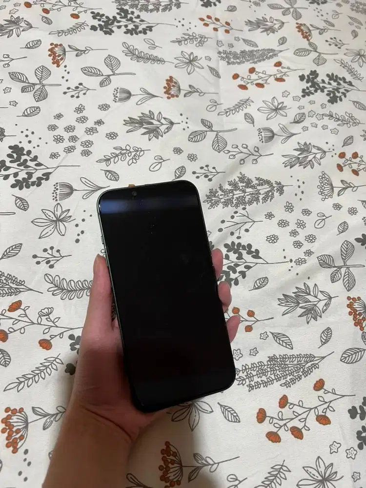 Dijual Iphone 13 128gb green ex ibox