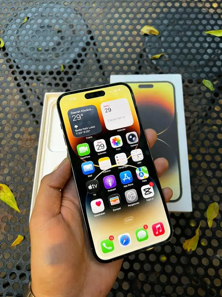 iphone 14 promax 1Tb gold