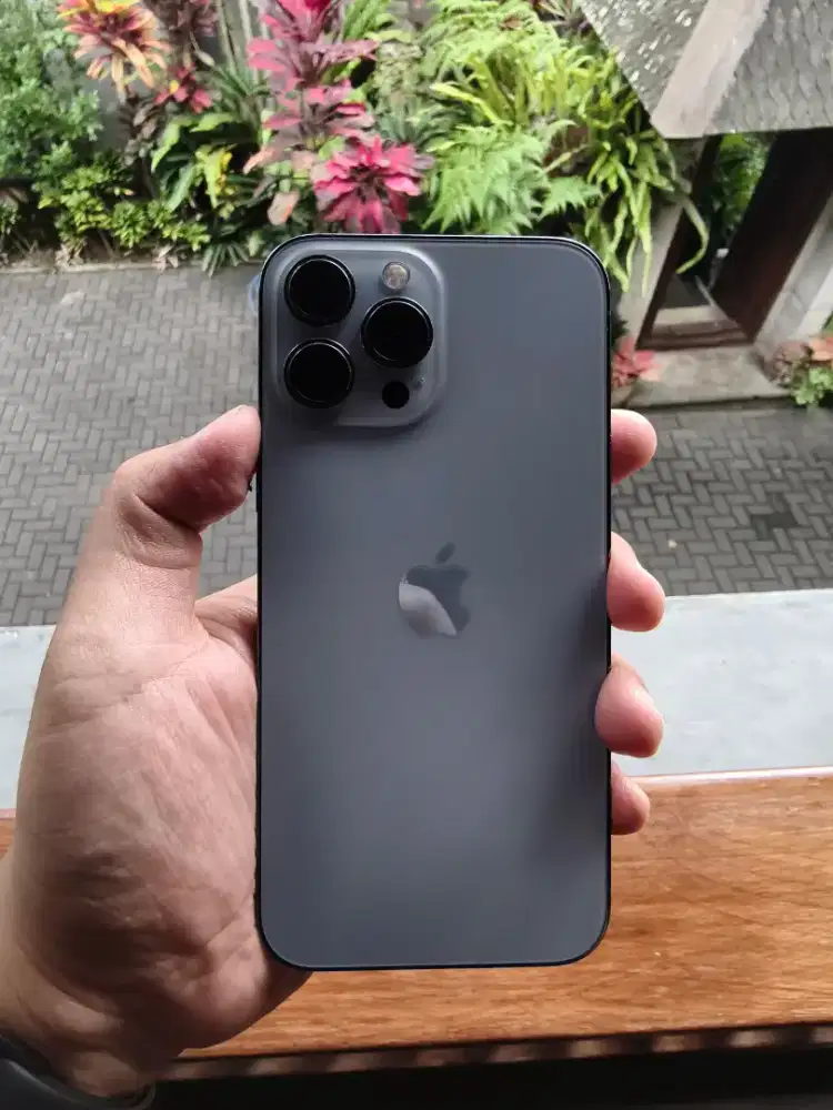 iphone 13 pro max 256