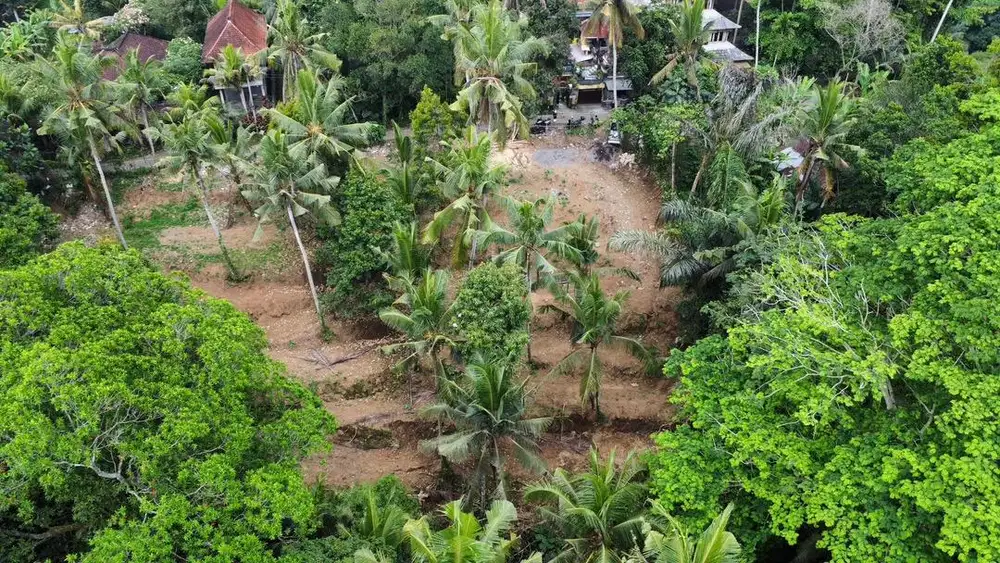 Dijual Tanah Los Sungai Berlokasi Ubud Gianyar Bali