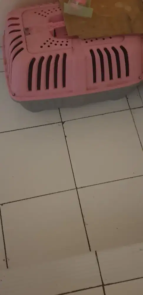 Petcargo ukuran besar