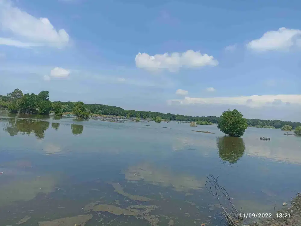 Empang Muara Gembong Bekasi