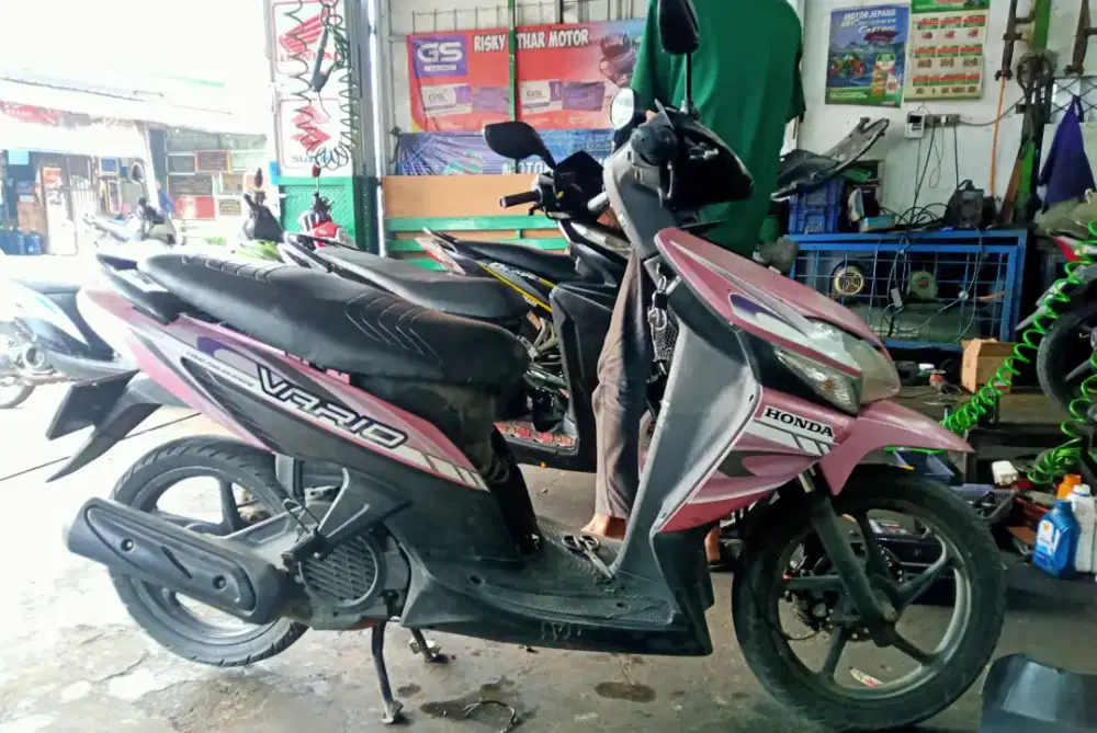 Vario karbu 2010