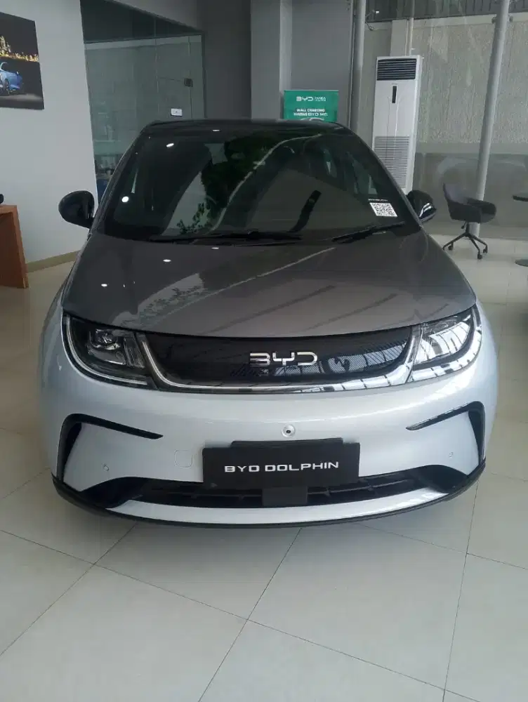 BYD Dolphin silver