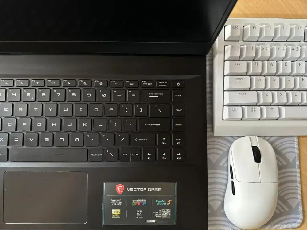 MSI Vector GP66 12UGS