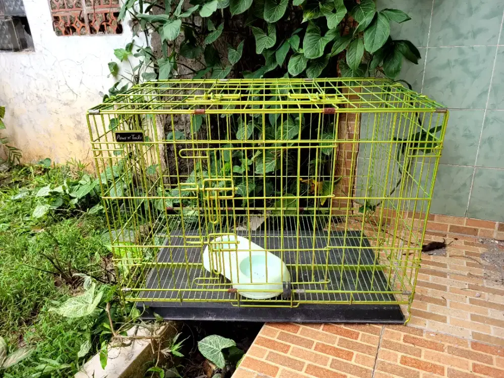 Kandang Kucing Lipat Merk Paws N Tails