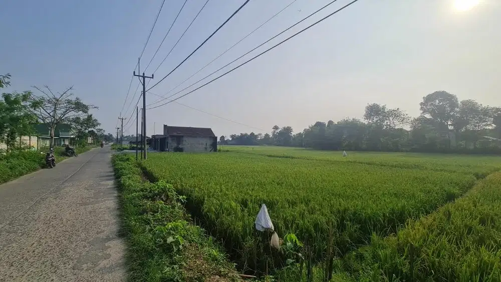 DIJUAL TANAH PINGGIR JALAN/ GREDUG/ CIKANDE