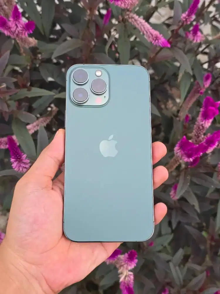 iPhone 13 Promax 256gb alpine green
