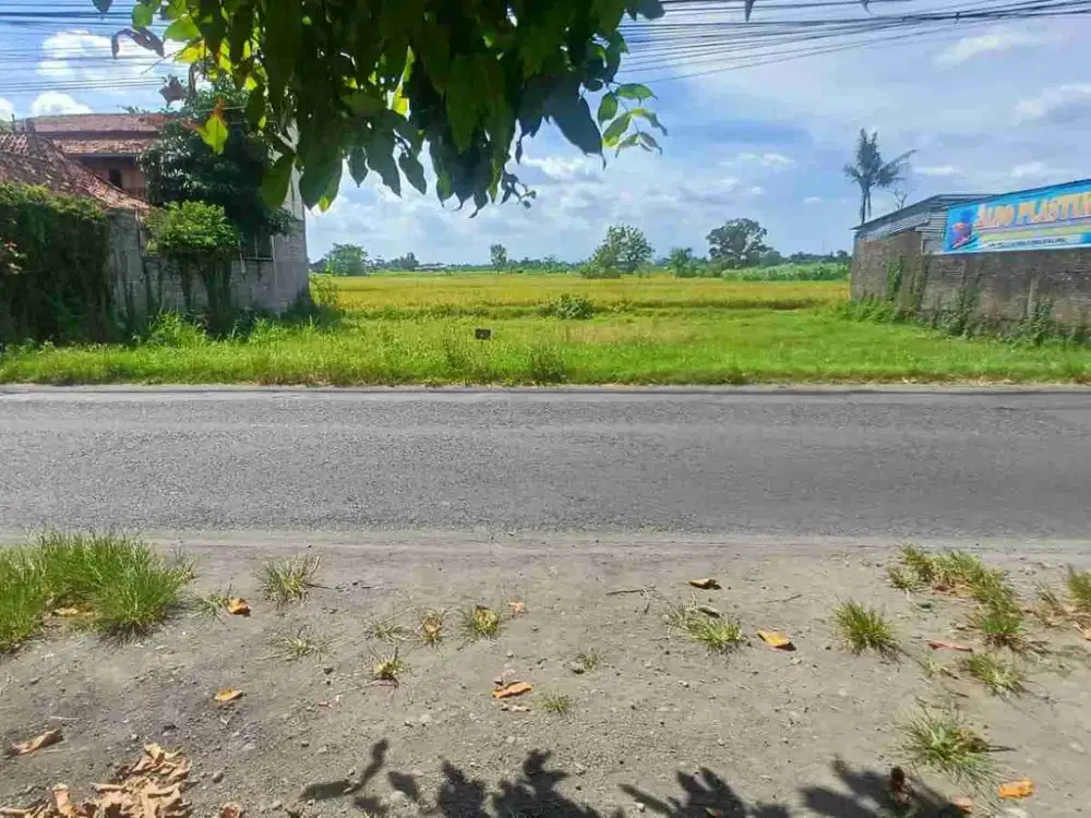 dijual pekarangan minggir Sleman  ..luas 398 MTR .ld 31 MTR  hrg. 2,5 JT permeter .lokasi bagus untuk usaha