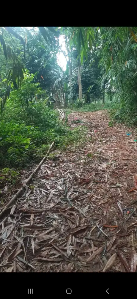 JUAL TANAH BUAT INPES DAN BERKEBUN GNSINDUR