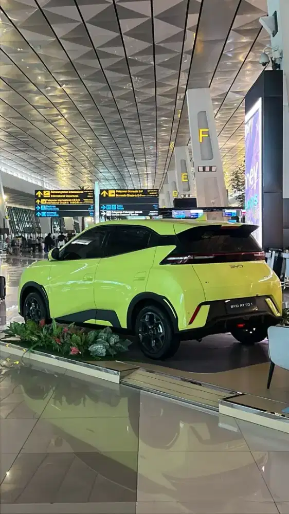 BYD Atto 1 sprout green