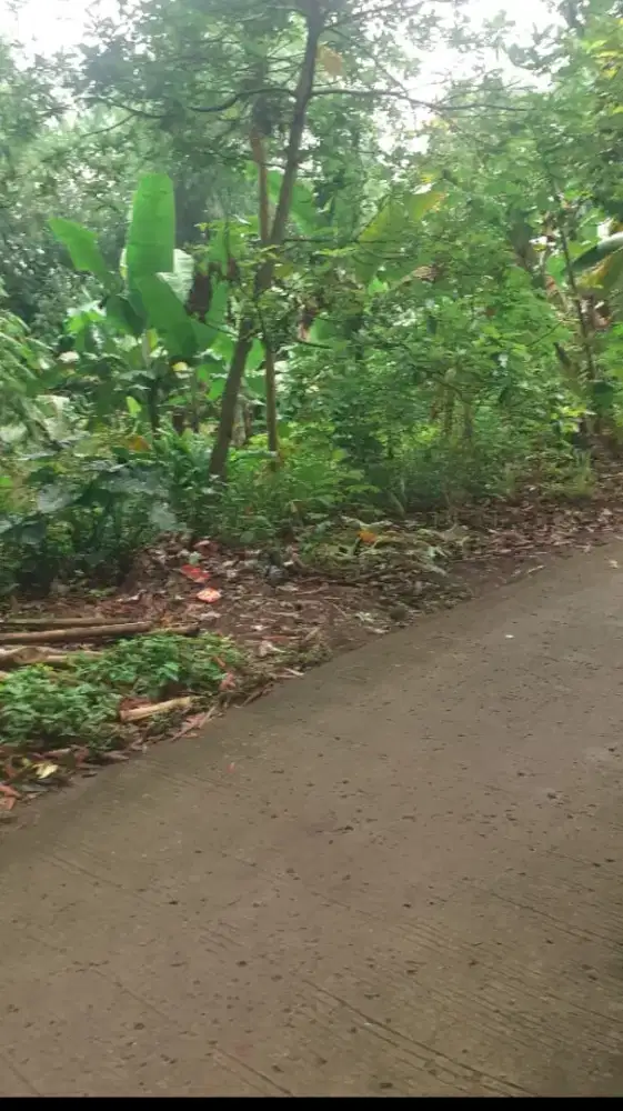 JUAL TANAH BUAT RUMAH TINGGAL DAN INPES GNSINDUR