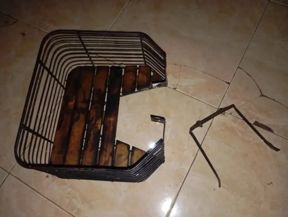 Kranjang tengah bebek