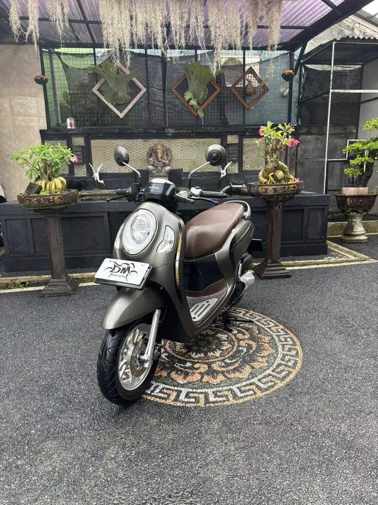 Scoopy stylis tahun 2023