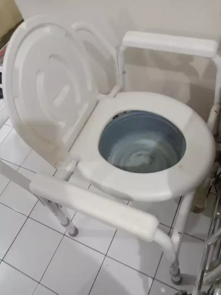 Jual kursi duduk untuk buang air kecil