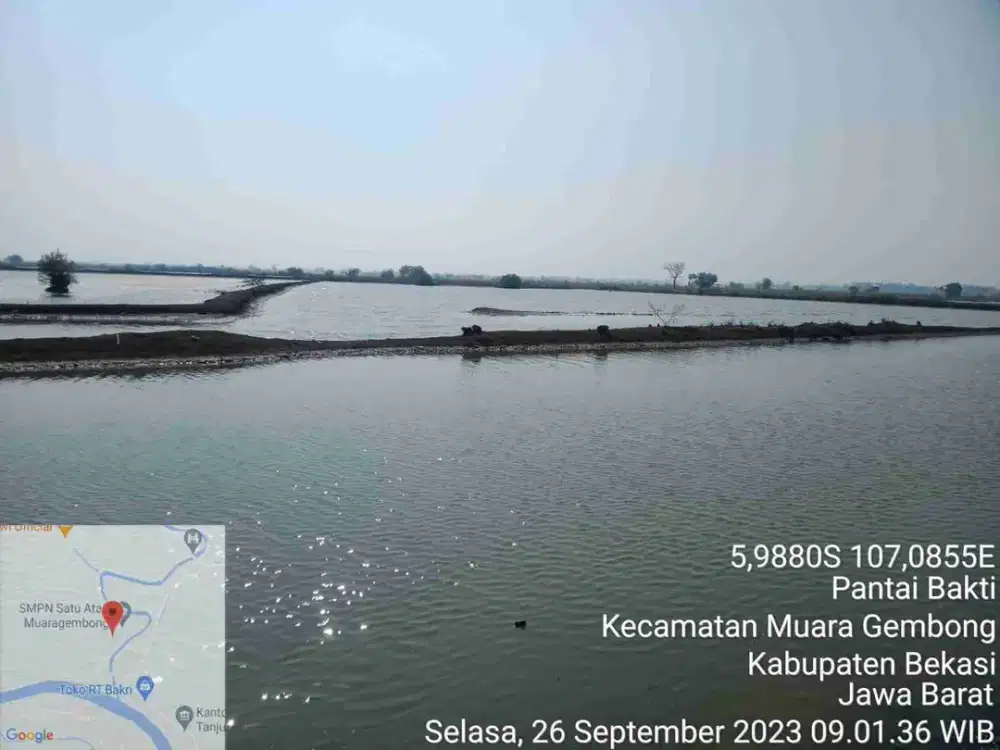 Empang Muara Gembong Bekasi