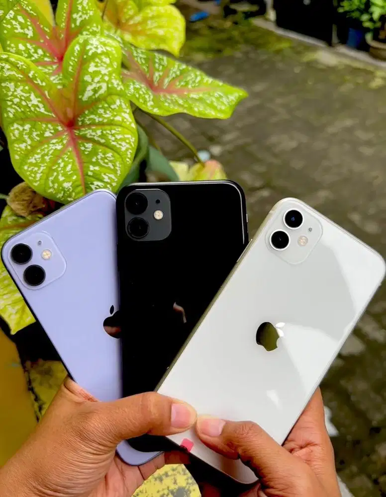 iphone 11 128gb all operator