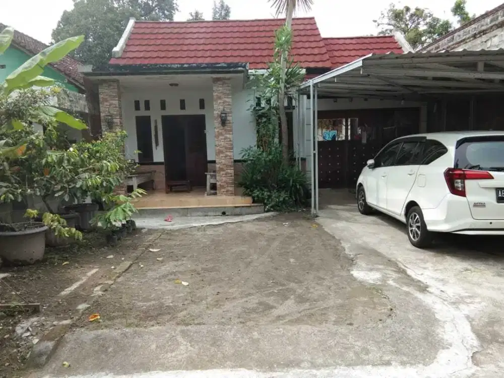Rumah Idaman Tanah Luas Lokasi Pusat Kota Harga dibawah 1 Milyar!