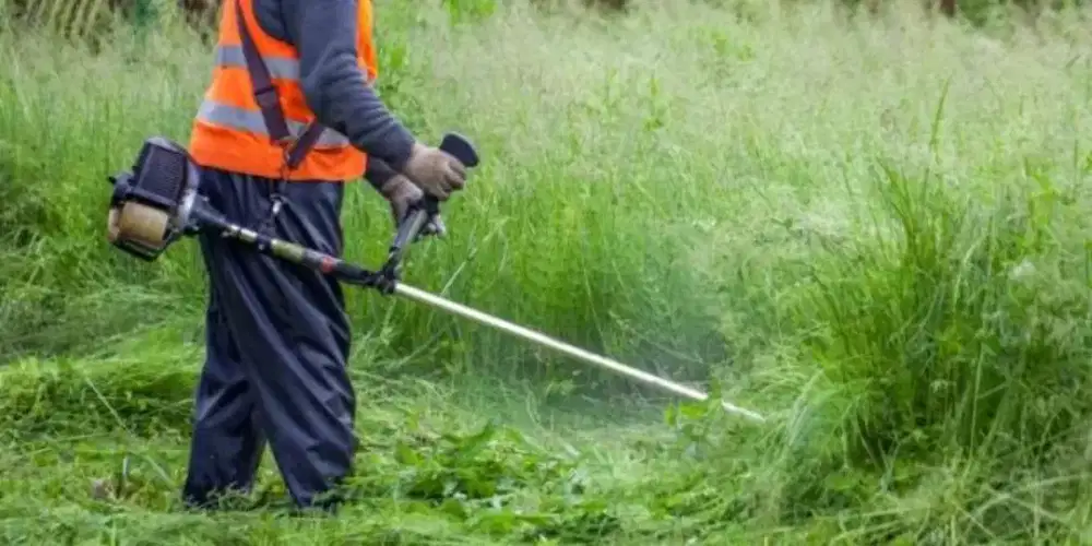 Bersih lahan dan semak belukar