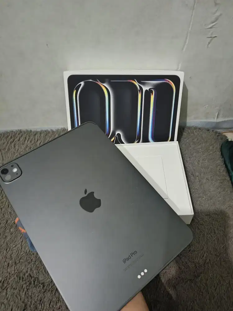 Ipad Pro M4 256 Like New