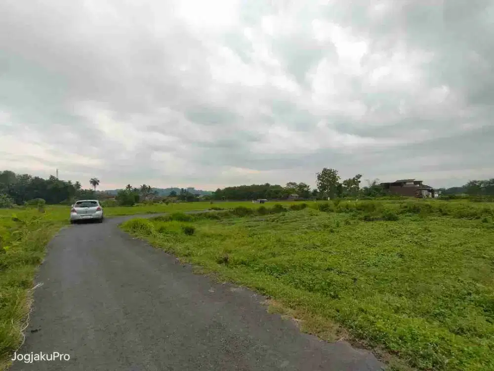 sawah Sidokarto godean