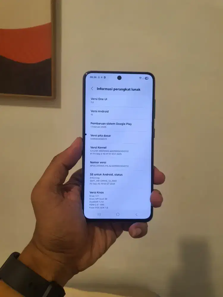 samsung galaxy S21 Fe 5g 8/256 sein tompel kecil