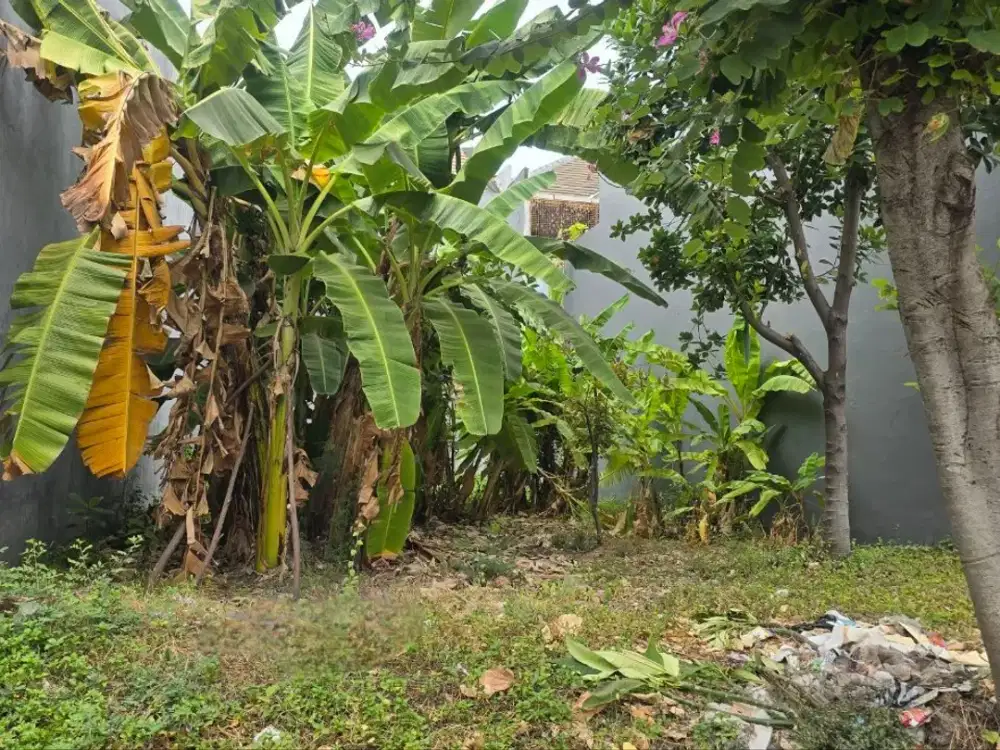 Kavling Pakuwon City FLORENCE STRATEGIS Row 3 mobil