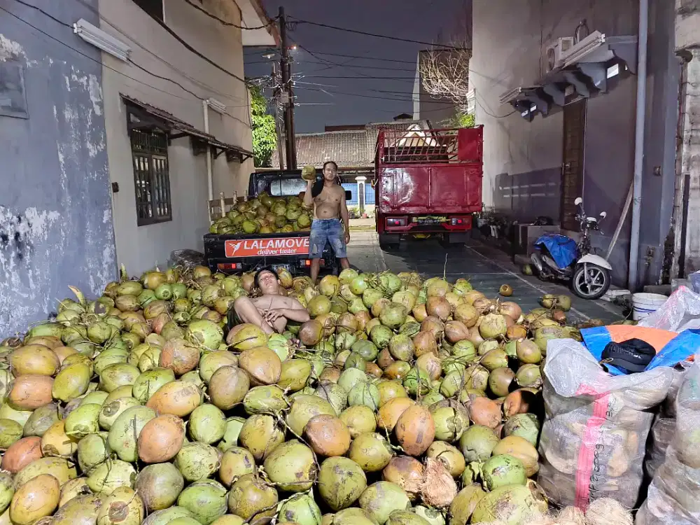 Loker jaga ea kelapa muda