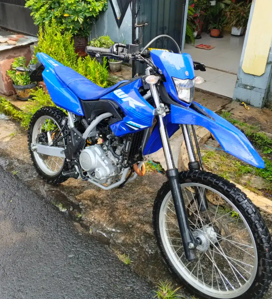 WR 155 R (2025)