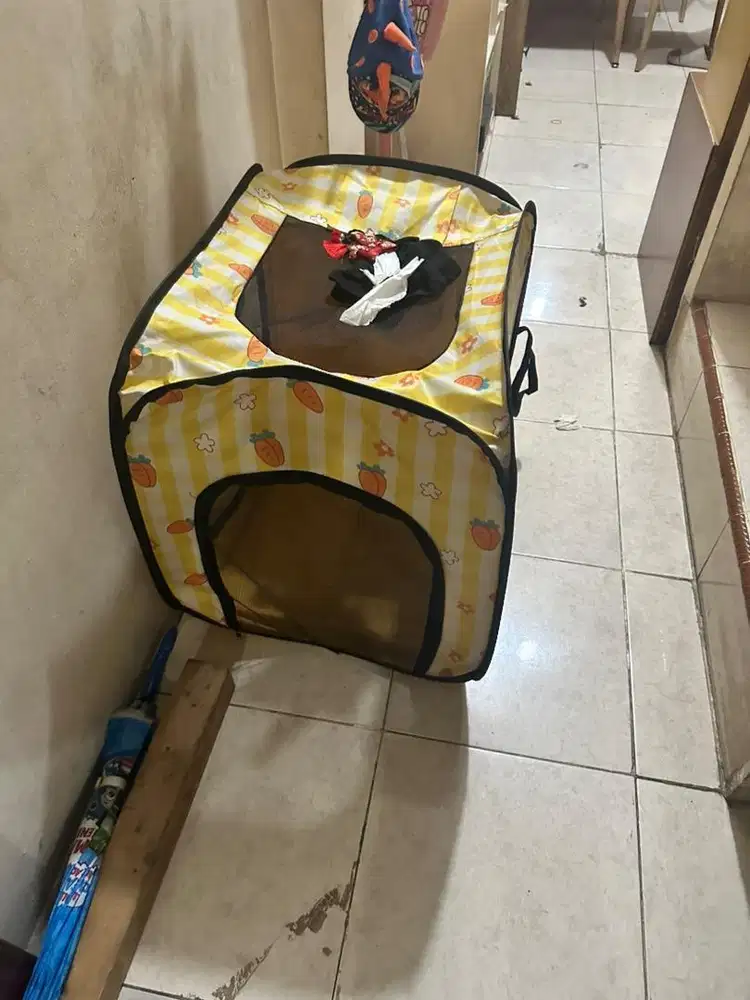 dijual cepat kandang kucing cat anjing dog import