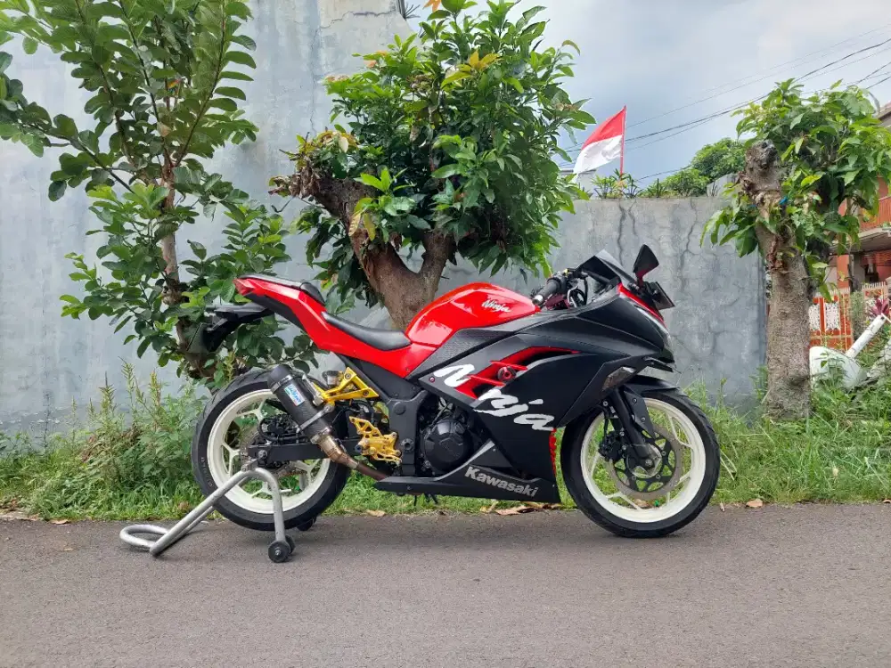 Kawasaki Ninja 250 Tahun 2015 Mulus Low KM Terawat