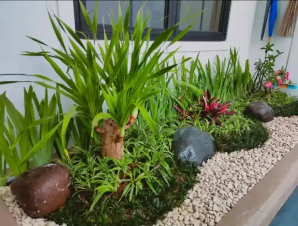 Spesialis pembuat Taman dan kolam ikan koi